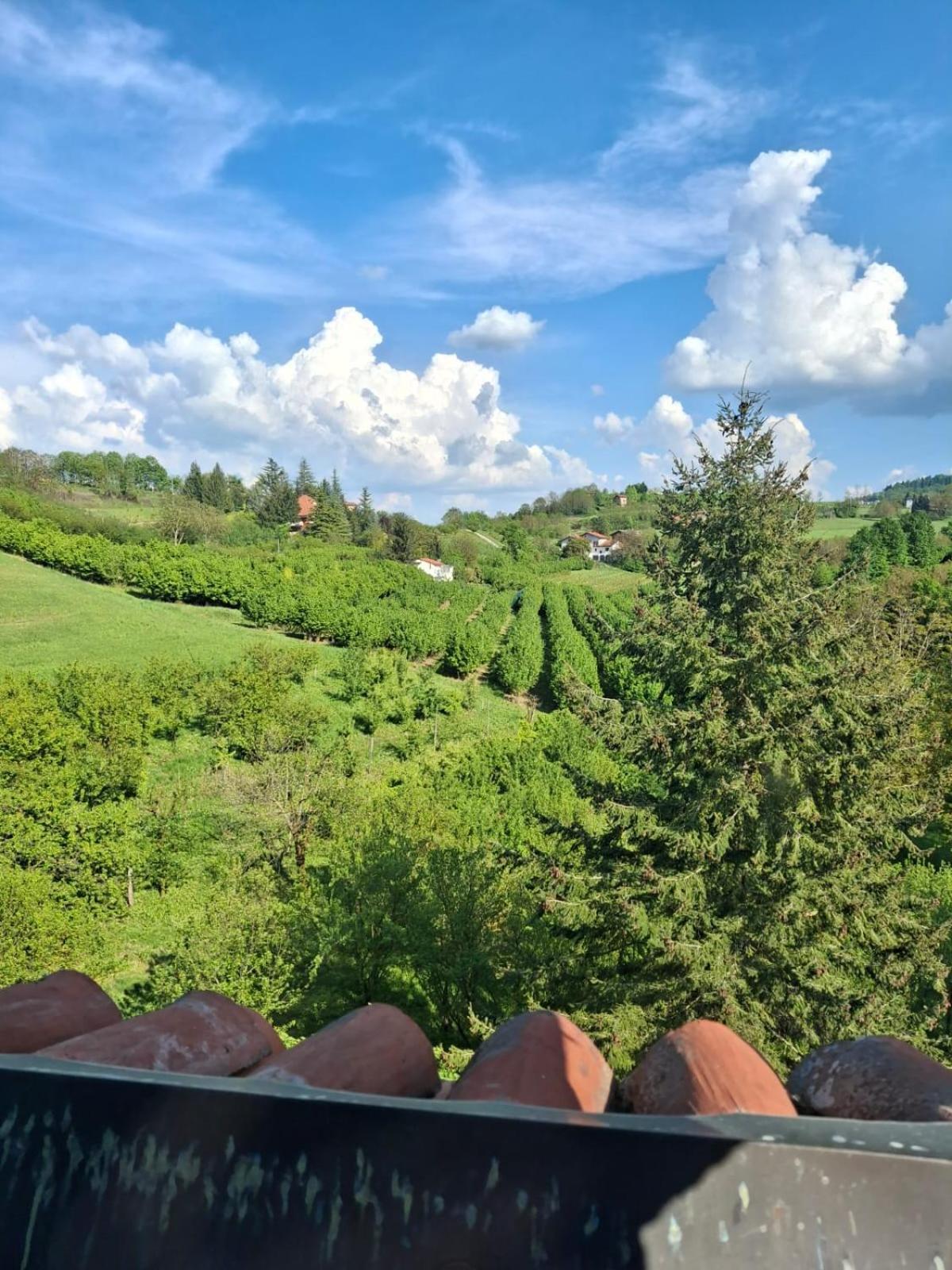 Cascina Bringin Apartman Mondovì Kültér fotó
