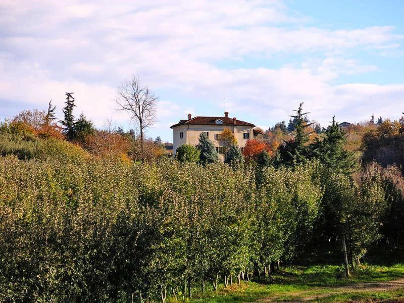 Cascina Bringin Apartman Mondovì Kültér fotó